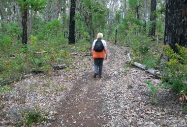 Walking the nearby Bibbulum Track