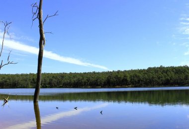 Glen Mervyn dam