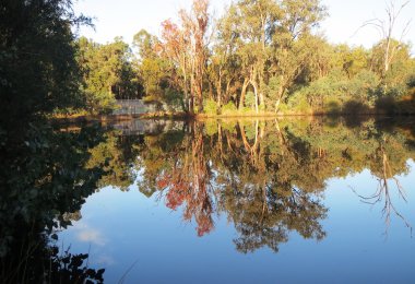 Picture perfect lake