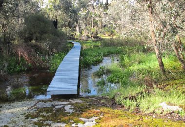 Boardwalks across our winter stream